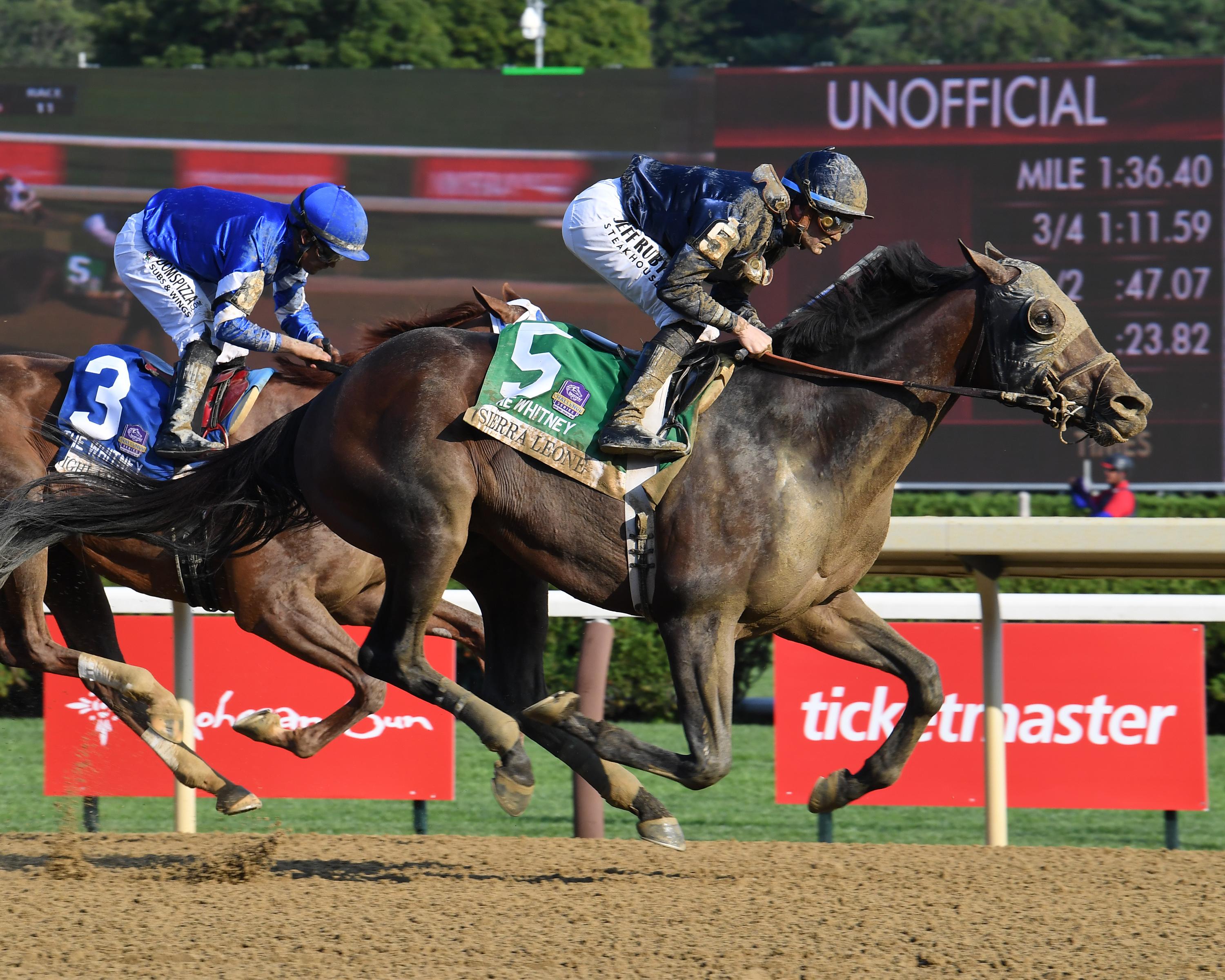 Sierra Leone, Whitney Stakes, Breeders' Cup Classic, Del Mar, America's Best Racing, horse racing, ABR